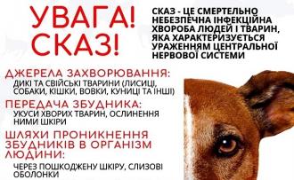 /Files/images/2019/сказ.jpg
